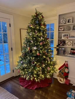 Avaliação de Mariana